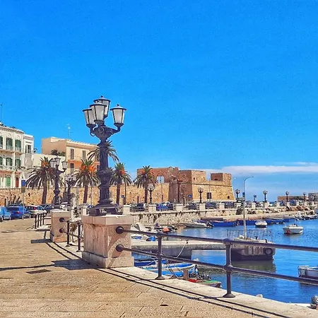 Ravanas 314 Near Station - Happy Bari